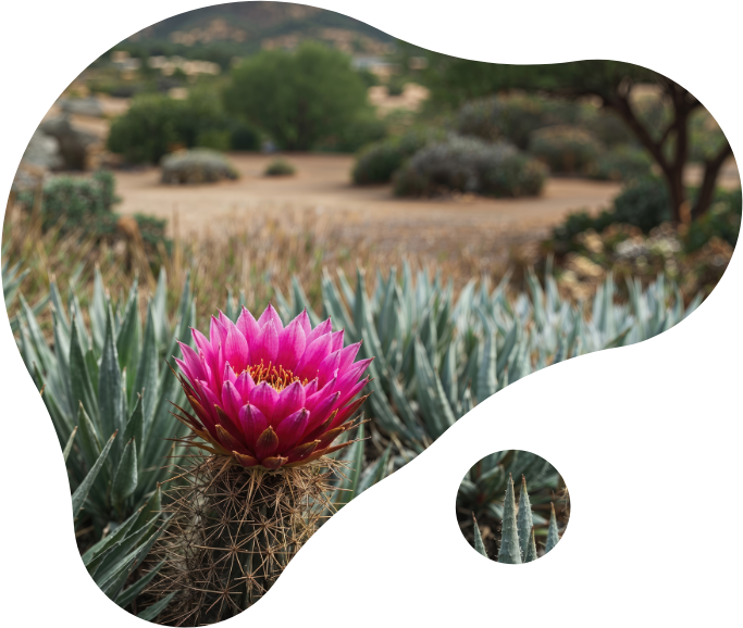 a flower